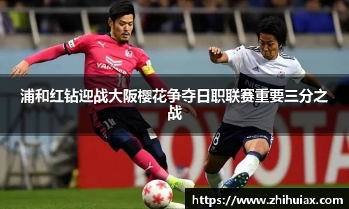 球速体育登录入口